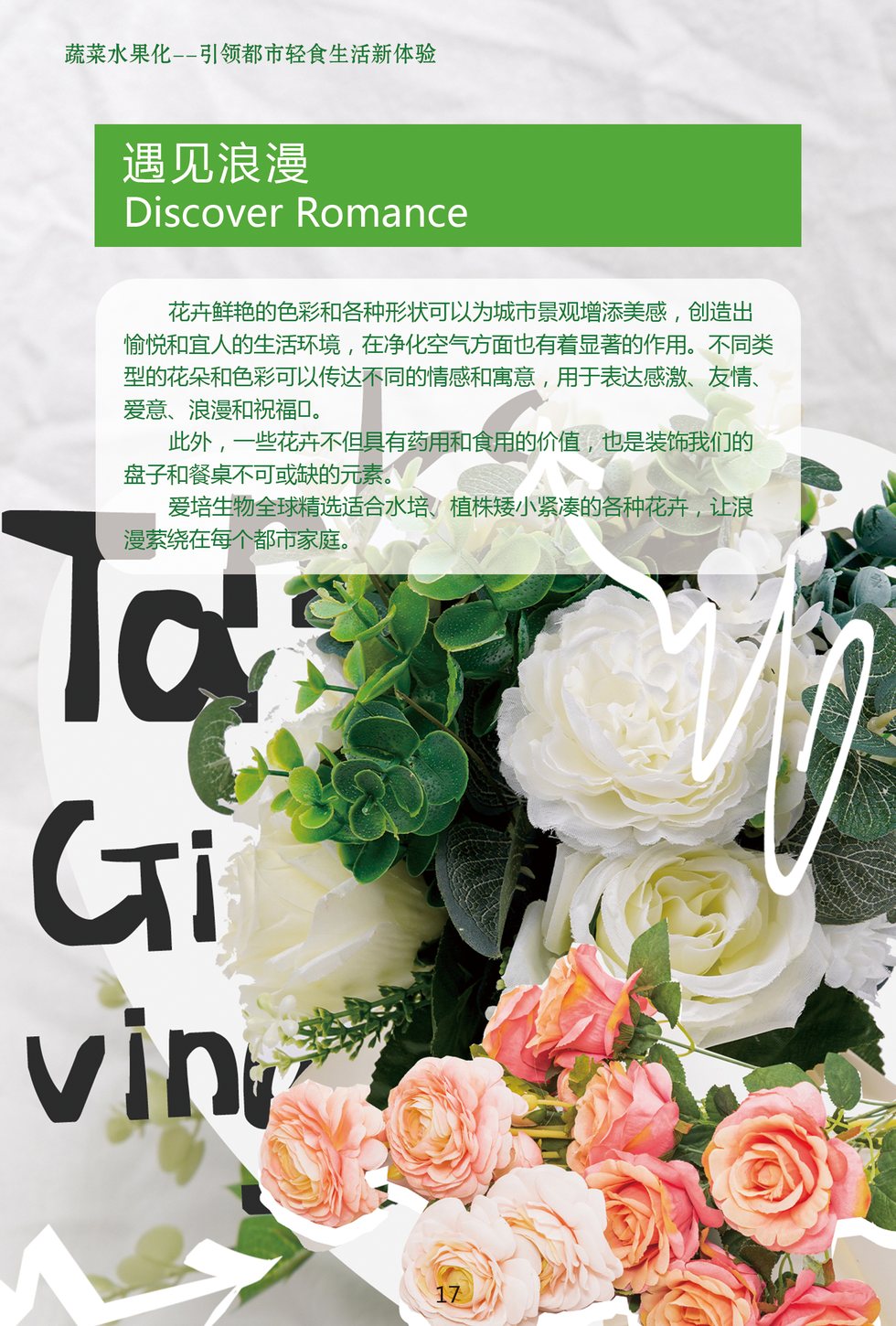 花卉療癒種植包