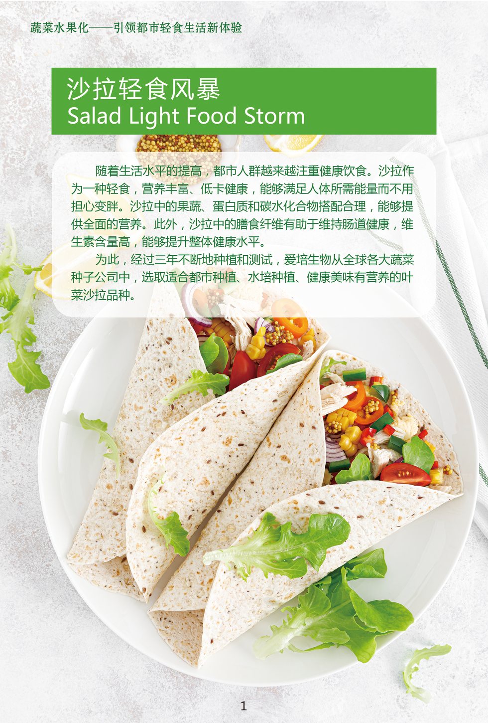 沙拉輕食種植包