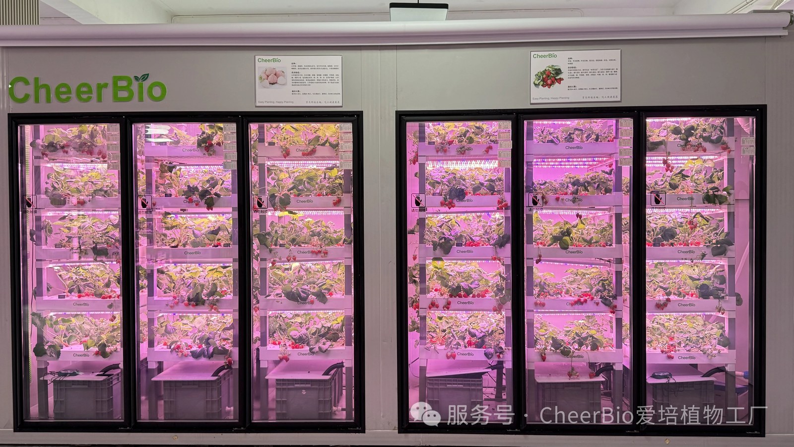 PlantBlock 櫃體系列