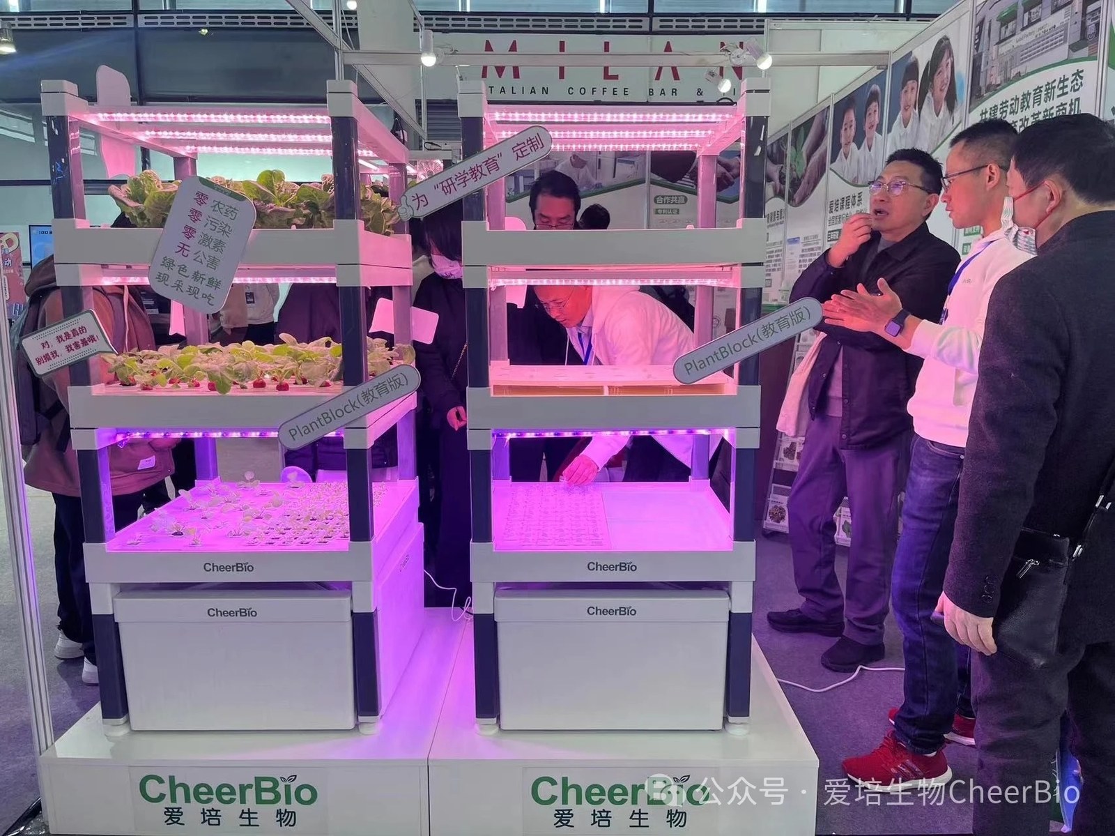 展示型使用情境
