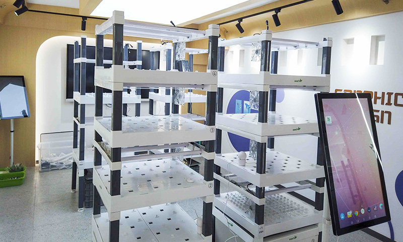 展示型方案