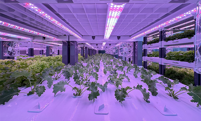 研發商業型方案